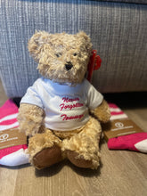 Load image into Gallery viewer, Together Teddy Bear